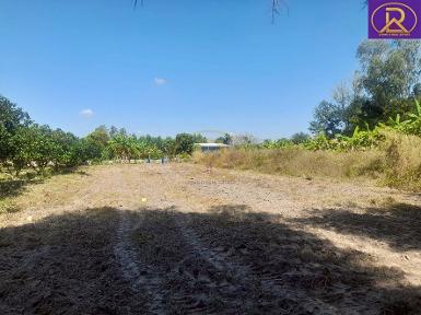 ขายที่ดินเปล่า ราคาหลักแสน ทำเลดี เหมาะสร้างบ้าน พนัสนิคม ชลบุรี