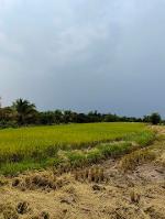 ขายที่ดิน 3-2-54ไร่ 4ล. ถนน วิวดอย ต.ขุนคง หางดง เชียงใหม่