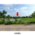 ขายที่ดินว่างเปล่า ต. ก้านเหลือง อ.แวงน้อย จ.ขอนแก่น