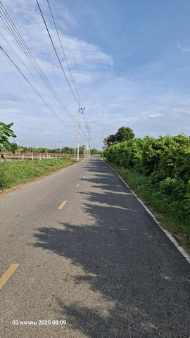 ขายที่ถมแล้วบางส่วน 2 ไร่ ติดถนนสองด้าน อ.บ้านโพธิ์ จ.ฉะเชิงเทร