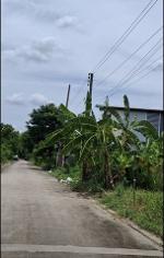 ขายที่ถมแล้ว  93.6  ตรว. ใกล้สถานีรถไฟฟ้าสายสีชมพู ปากเกร็ด จ.นนท