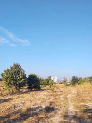 ขายที่ดินเปล่าพัทยา แปลงสวย ทำเลงาม โซนเขาตาโล