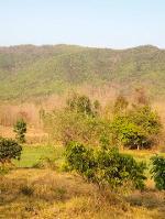 ขายด่วนที่ดิน 6ไร่28ว. 3.3ล. วิวเขา ต.ออนกลาง แม่ออน เชียงใหม่