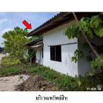 ขายโรงงาน ถ.ท่าโรงช้าง ตำบล มะขามเตี้ย อ.เมือง จ.สุราษฎร์ธานี