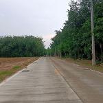 ขายที่ดินแปลงสวย ใกล้นิคมโรจนะบ่อวิน2 เขาคันทรง ศรีราชา ชลบุรี