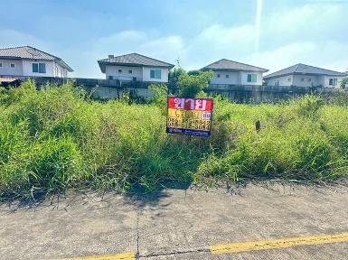 ขายที่ดิน 67.6 ตารางวา มบ.บารเมษฐ์ เฉลิมพระเกียรติ ร.9 ซอย62 