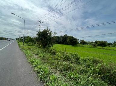 ขายที่ดินนา3-1-46ไร่ 10ล. ถนน4เลน ต.หนองแก้ว อ.เมือง ศรีสะเกษ