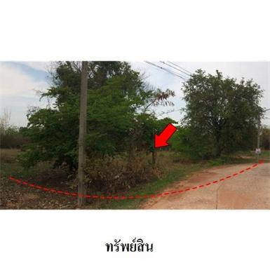 ขายที่ดินว่างเปล่า ต.รอบเมือง อำเภอ เมืองชัยภูมิ จังหวัด ชัยภูมิ