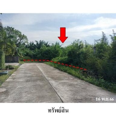 ขายที่ดินว่างเปล่า ถ.สายสุราษฎร์ธานี-นครศรีธรรมราช กาญจนดิษฐ์ 