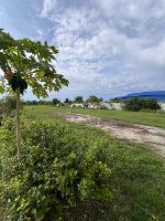 ขายที่ดินผังสีม่วง 2-2-8 ไร่ บางบ่อ สมุทรปราการ ใกล้นิคมเวลโกรว์