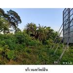 ขายที่ดินว่างเปล่า ต.ถลุงเหล็ก อำเภอ เมืองบุรีรัมย์ จังหวัด บุรีร