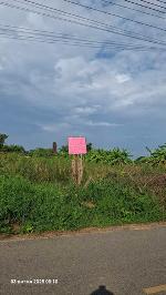 ขายที่ถมแล้วบางส่วน  2 ไร่ ติดถนนสองด้าน  อ.บ้านโพธิ์ จ.ฉะเชิงเทร