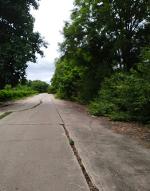 ขายที่ดินถมแล้ว 7 ไร่เศษ ใกล้ถนนทางหลวง อ.บางน้ำเปรี้ยว จ.ฉะเชิงเ