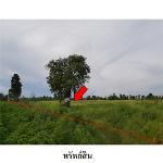 ขายที่ดินว่างเปล่า ถ.สายชัยภูมิ-หนองบัวแดง ต.รอบเมือง จ.ชัยภูมิ 