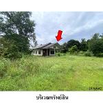 ขายบ้านเดี่ยว ถนน ตาดแคน ต.มุกดาหาร อ.เมืองมุกดาหาร จ.มุกดาหาร