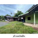 ขายบ้านเดี่ยว ต.ท่าโรงช้าง อำเภอ พุนพิน จังหวัด สุราษฎร์ธานี