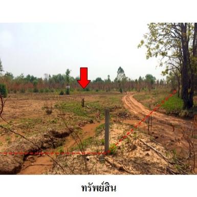 ขายที่ดินว่างเปล่า ต.นาฝาย อำเภอ เมืองชัยภูมิ จังหวัด ชัยภูมิ