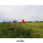ขายที่ดินว่างเปล่า ถ.สายชัยภูมิ-หนองบัวแดง ต.รอบเมือง จ.ชัยภูมิ 