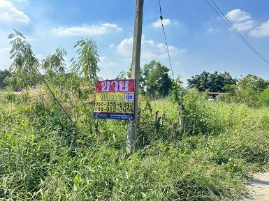 ขายที่ดิน 200 ตารางวา ติดถนนเทศบาลตำบลหมอนนาง พนัสนิคม ชลบุรี 