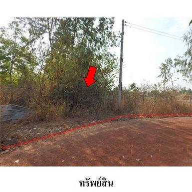 ขายที่ดินว่างเปล่า ต.สวาท อ.เลิงนกทา จังหวัดยโสธร