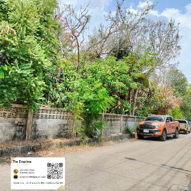 Land for Sell!! ขายด่วน ที่ดินเปล่าทำเลดี สนใจโทร 090 986 21544