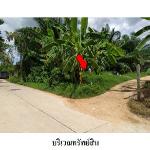 ขายที่ดินว่างเปล่า ถนน บ้านแค ตำบล บ่อแดง อำเภอ สทิงพระ จังหวัด ส