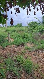 ขายที่ถมแล้ว ขายถูก เนื้อที่  200  ตรว. ต.ท่าข้าม อ.พนัสนิคม จ.ชล