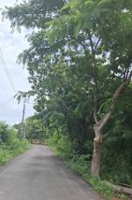 ขายที่ดินถมแล้วบางส่วน ติดถนนสาธารณะ 2 ด้าน ต.แกลง อ.เมือง จ.ระยอ