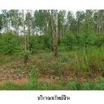 ขายที่ดินว่างเปล่า ตำบล โคกสูง อำเภอ เมืองชัยภูมิ จังหวัด ชัยภูมิ