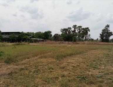 ให้เช่าที่ดินนาป่าชลบุรี ให้เช่าเหมาที่ดินใกล้มอเตอร์เวย์ 2 ไร่ 