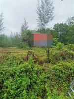 ขายที่ดินว่างเปล่ามือสอง อำเภอตะกั่วป่า  พังงา