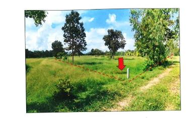 ขายที่ดินเปล่ายกแปลง ติดถนนใหญ่ จังหวัดมหาสารคาม