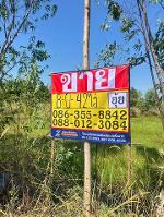 ขายที่ดิน 8-0-42 ไร่ ใกล้สวนพระพิฆเนศ  ตะเคียนเตี้ย  บางละมุง  ชล