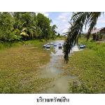 ขายที่ดินว่างเปล่า ถนน บ้านแค ตำบล บ่อแดง อำเภอ สทิงพระ จังหวัด ส