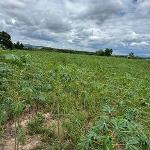 ขายและให้เช่าที่ดินศรีราชาชลบุรี ที่เปล่า 52-1-71 ไร่ทำเลดี