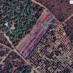 ขายที่ดิน 4-1-40ไร่ 2.49ล. สวนมะม่วง สระน้ำ อ.ดอยหล่อ เชียงใหม่