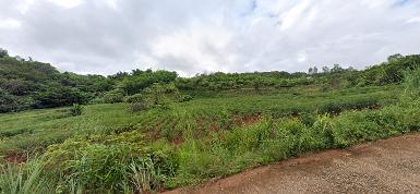 ที่ดินป่าบนดอยแปลงใหญ่ใกล้แม่จัน จังหวัดเชียงราย