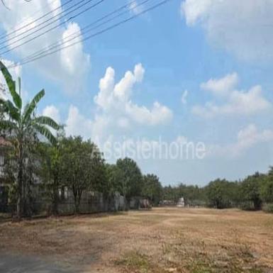 ขาย ที่ดิน 1 ไร่ ซอยสวนผัก 50 แปลงสี่เหลี่ยมผืนผ้าสวย ทำเลดี