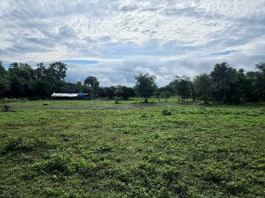 ขายที่ดิน 118ไร่2งาน 47ล. น้ำบาดาล ไฟฟ้า ทุ่งปี้ แม่วาง เชียงใหม่