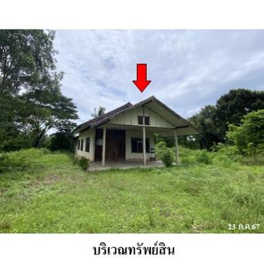 ขายบ้านเดี่ยว ถนน ตาดแคน ต.มุกดาหาร อ.เมืองมุกดาหาร จ.มุกดาหาร