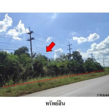 ขายที่ดินว่างเปล่า ถนน มะลิวัลย์ (ทล.12) ต.โนนอุดม อ.ชุมแพ จ.ขอนแ