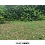 ขายที่ดินว่างเปล่า ต.หนองคู อำเภอ ลำปลายมาศ จังหวัด บุรีรัมย์