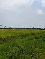 ขายที่ดิน 3-2-54ไร่ 4ล. ถนน วิวดอย ต.ขุนคง หางดง เชียงใหม่