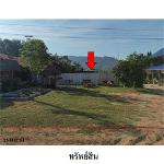 ขายที่ดินว่างปล่า ต.หนองบัว อ.ภูเรือ จ.เลย