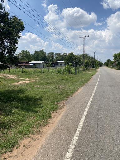 ขายที่ดิน 3 ไร่ 2 งาน ต.กระทุ่มราย อ.ประทาย โคราช 