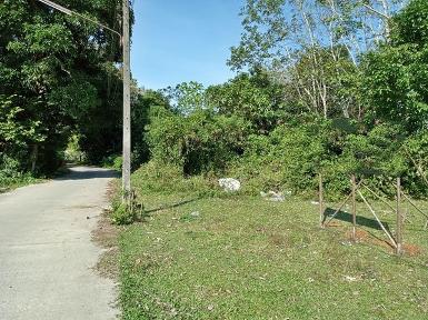 ขายที่ดินจังหวัด นครศรีธรรมราช ราคาลดพิเศษ อำเภอทุ่งสง