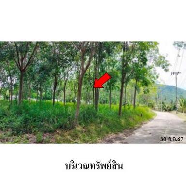 ขายที่ดินว่างเปล่า ตำบล หน้าเมือง อำเภอ เกาะสมุย สุราษฎร์ธานี