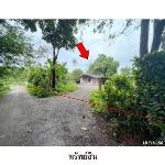 ขายบ้านเดี่ยว ต.ท่าโรงช้าง อำเภอ พุนพิน จังหวัด สุราษฎร์ธานี