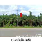 ขายที่ดินว่างเปล่า ต.บางสวรรค์ อ.พระแสง จังหวัด สุราษฎร์ธานี