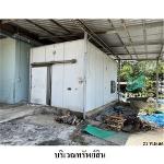 ขายโรงงาน/โกดัง ถ.บ้านผือ-บ้านหัวช้าง บ้านไผ่ ขอนแก่น